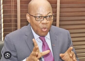 INEC’s Exclusive Authority To Declare Results Does Not Prevent Parties From Publishing Same Obtained Through Electoral Process, Agbakoba