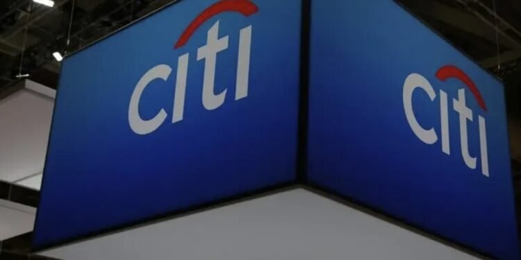 Governments Globally To Turn To Non-dollar Bonds Amid AI-driven Liquidity Crunch, Citi Banker Says