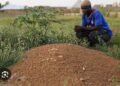 Nigerian Families, Survivors Seek Justice Over Miners’ Deaths