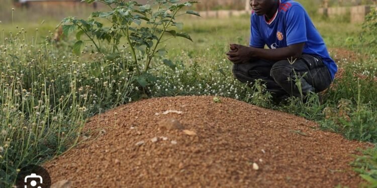 Nigerian Families, Survivors Seek Justice Over Miners’ Deaths